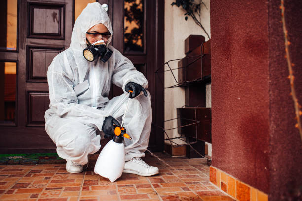 Reliable Wasp Removal contractor in North Falmouth, MA by Show Me Pest Control